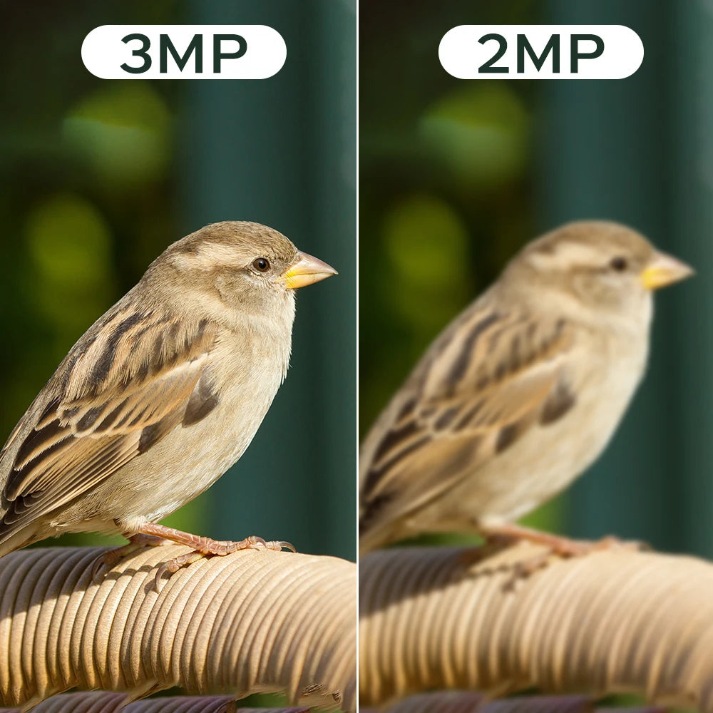JOOAN 2K Solar Powered Smart Bird Feeder Camera Wireless Outdoor Bird Watching Color Night Vision Low Power Battery Camera