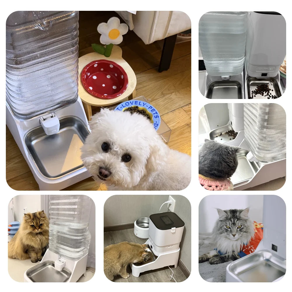 Smart Cat Feeder with 15CM Elevated Camera Tuya App Control for Busy Pet Owners FURPIPI Automatic Cats Dog Food Feeder Set