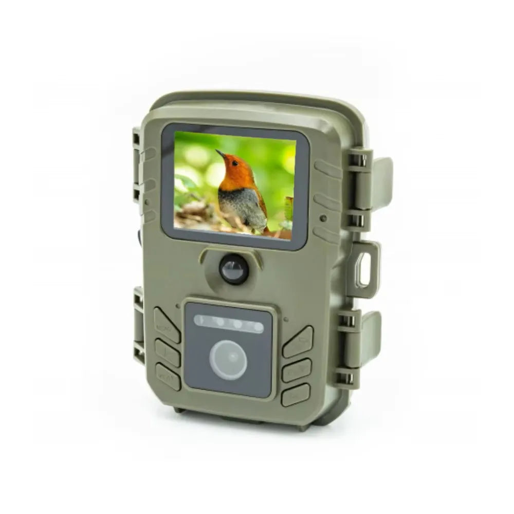 Bird Feeder Outdoor Trail Camera, Bird Watching Camera, WIFI Transfer Picture and Video, Motion Sensor, BC-303W