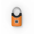 Smart Fingerprint Padlock Mini Electronic Security Locker Fingerprint Lock Anti-Theft USB Charge For Bike Gym Locker Luggage