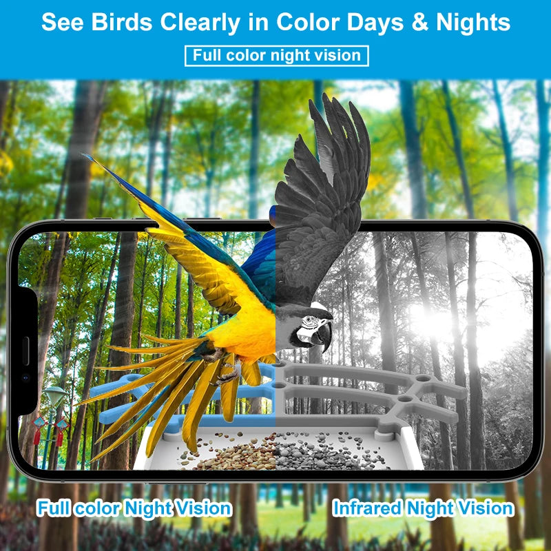 Ultra HD 5MP Smart Bird Feeder Camera - Full-Color Night Vision for Enhanced Bird Observation AI Tracking 24/7 Recording