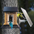 1080P Bird Feeder with HD Camera Built-in Battery Solar Low Power Night Vision Outdoor IP66 Waterproof 2.4GWIFI Connected Feeder