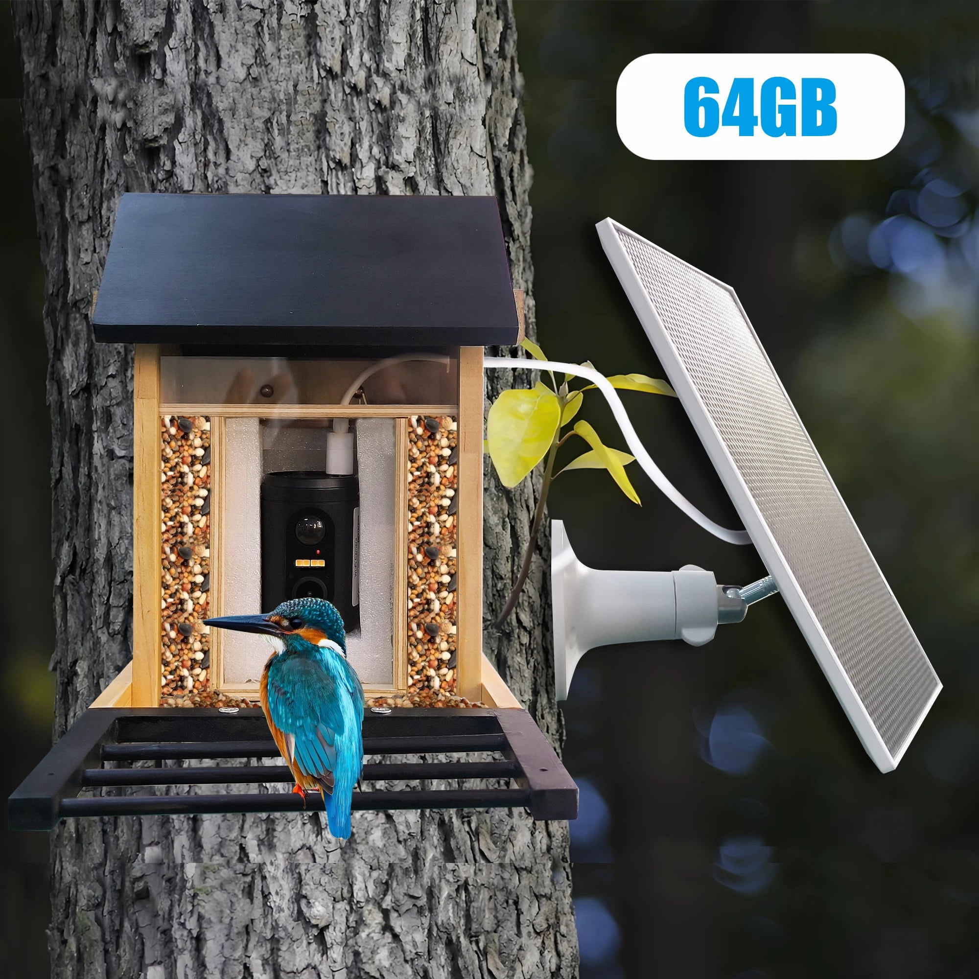 1080P Bird Feeder with HD Camera Built-in Battery Solar Low Power Night Vision Outdoor IP66 Waterproof 2.4GWIFI Connected Feeder
